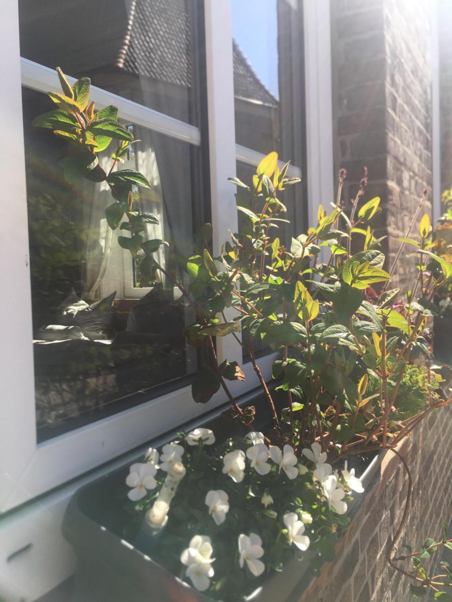 Altes Pastorat Bed & Breakfast Barmstedt Bagian luar foto