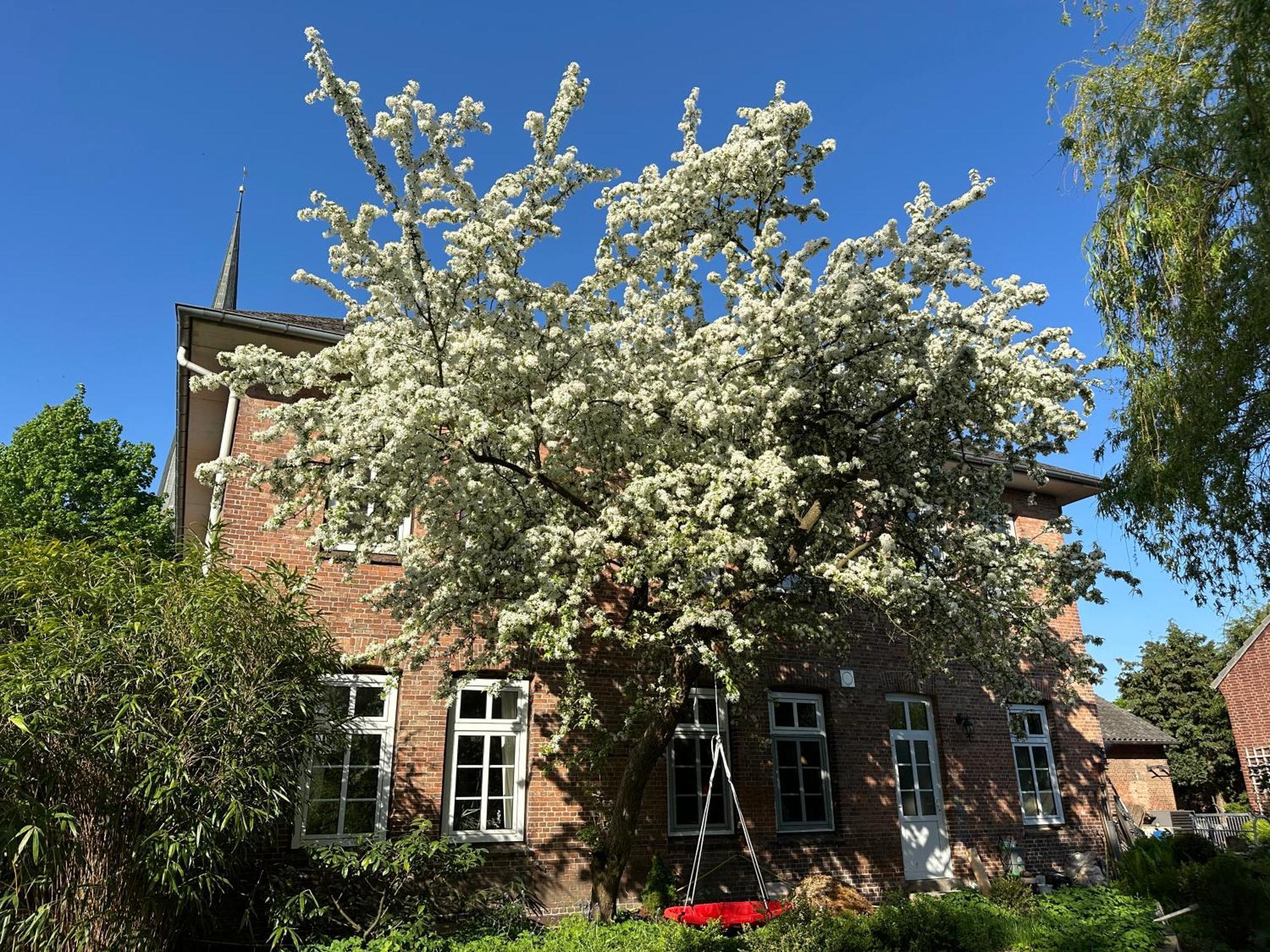 Altes Pastorat Bed & Breakfast Barmstedt Bagian luar foto